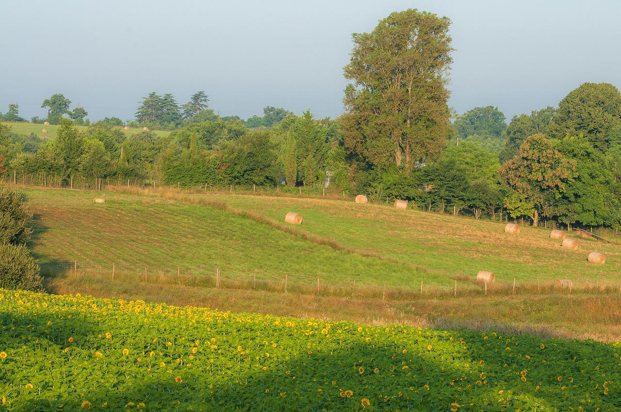 Les Maisons Du Golf D'Armagnac Eauze المظهر الخارجي الصورة